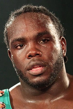 Bermane Stiverne