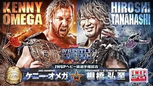 Wrestle Kingdom 13 In Tokyo Dome