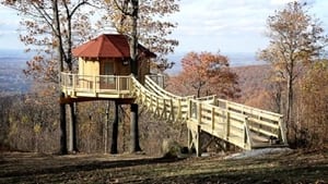 Black Bear Bungalow