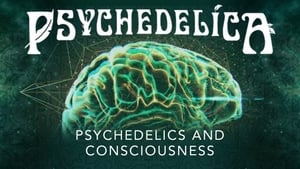 Psychedelics and Consciousness