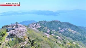 Sakura in the Seto Inland Sea