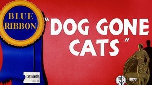 Doggone Cats