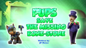 Pups Save the Missing Bone-Stone