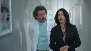 Like a Guinea Pig on a Hot Tin Roof