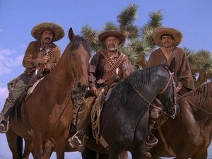 The Night of the Jack O'Diamonds