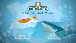 The Humpback Whales