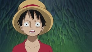 A Vow Between Two Men - Luffy and Kozuki Momonosuke