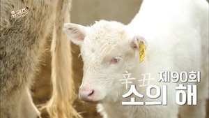 Episode 90
