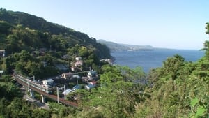 Izu: From Rugged Coastline to Inland Warmth