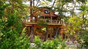 Nelson Family Treehouse