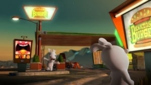 Radio Rabbid