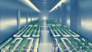 A Day in the Life Underground