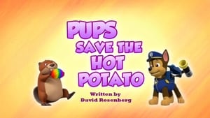 Pups Save the Hot Potato