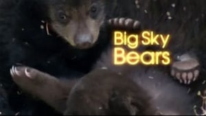 Big Sky Bears