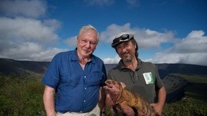 Galapagos 3D with David Attenborough | TV Universe