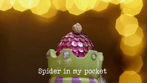 Spider in My Pocket