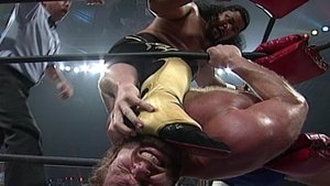 Nitro 032