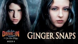 Ginger Snaps