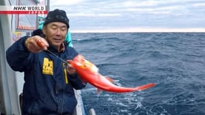 Tokyo's Sustainable Fishermen