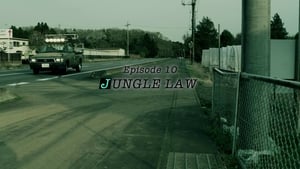 JUNGLE LAW