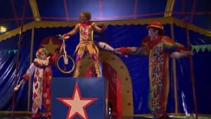 Habemus circus