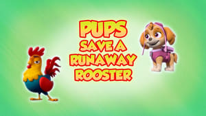 Pups Save a Runaway Rooster