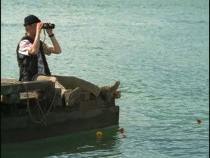 You Can't Look at the Sea Without Wishing for Wings