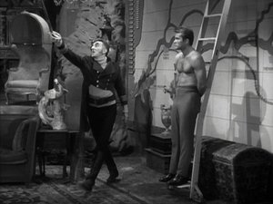 The Night of a Thousand Eyes