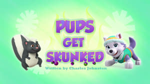 Pups Get Skunked