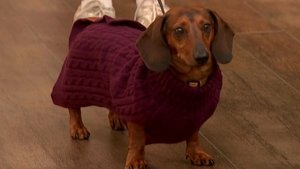 Thursday, October 9, 2025