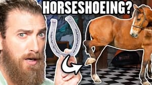 Will We Die Shoeing A Horse?