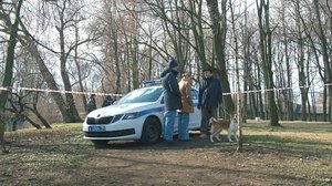 Episode 44