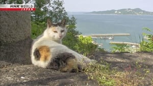 Seto Inland Sea: Two Cat Islands