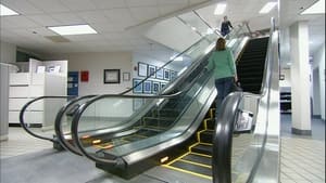 Escalators, Kevlar Canoes, Goat Cheese, Disc Music Boxes