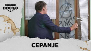 2479 Cepanje