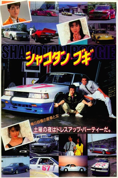 Shakotan Boogie