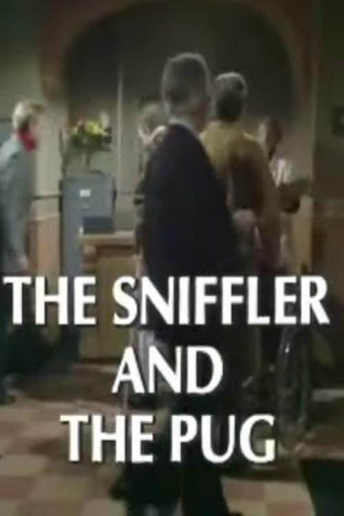 The Sniffler and the Pug