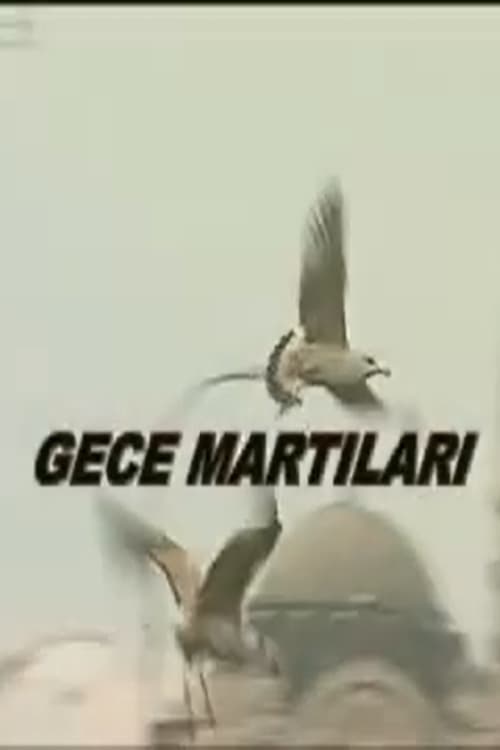 Gece Martıları