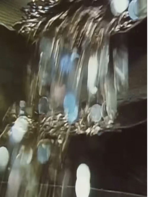 A Magical Field Trip to the Denver Mint