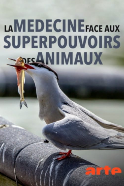 Wild Medicine: Animals' Superpowers