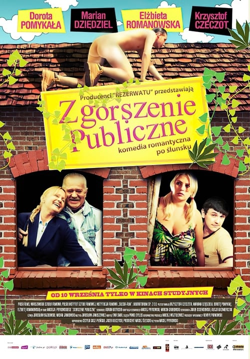 Zgorszenie publiczne