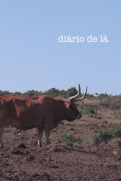 Diary From There