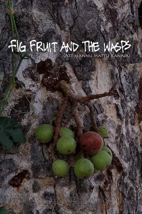 Fig Fruit and The Wasps