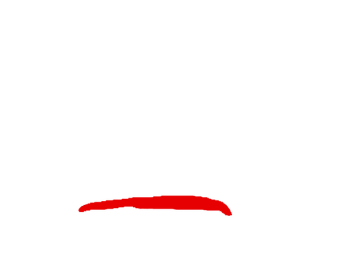 Kamerakameratene