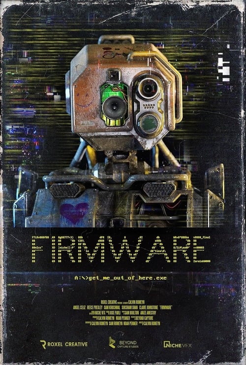 Firmware