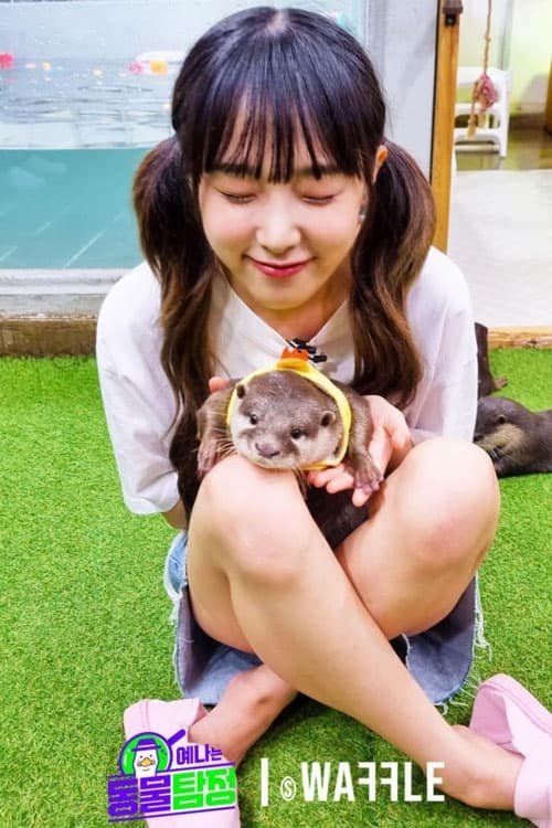 Animal Detective Yena