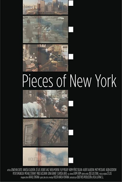 Pieces of New York