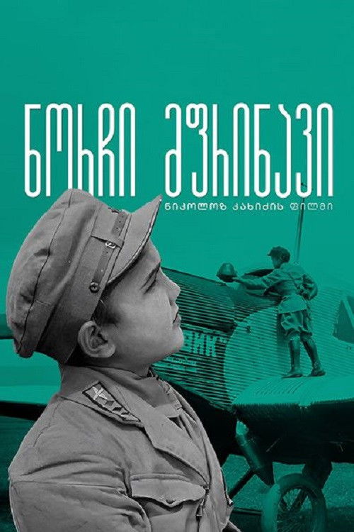 Gogi - The Young Pilot