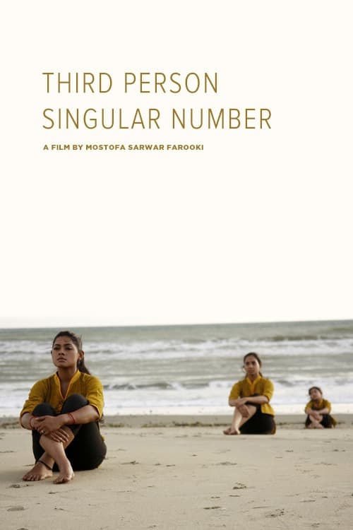 Third Person Singular Number