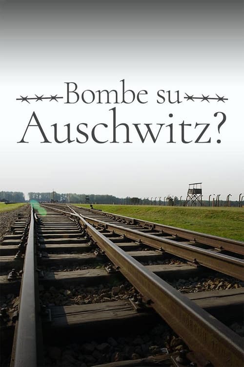 1944: Should We Bomb Auschwitz?